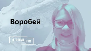 Воробей про зачистку гражданского общества и ставку на айтишную партизанщину // И Грянул Грэм