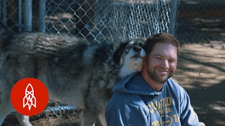 Living with Wolves Saved My Life