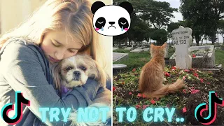 Try Not To Cry Reaction | TikTok Pet Compilation | I Wanna Feel Again TikTok Compilation