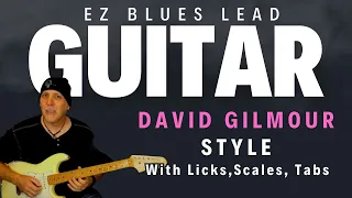 EZ Blues Lead Guitar in the Style of David Gilmour Pink Floyd with TABS liks