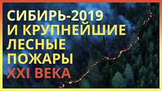 Лесные пожары в Сибири (2019) и 5 крупнейших лесных пожаров XXI века