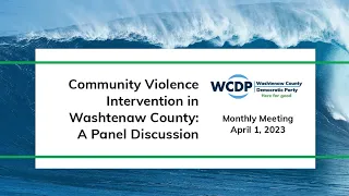 WCDP Meeting: Community Violence Intervention: Making Communities Safer and Saving Young Lives