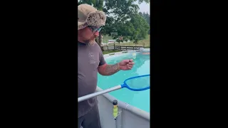 Bigfoot caught skinny dipping in local pool.