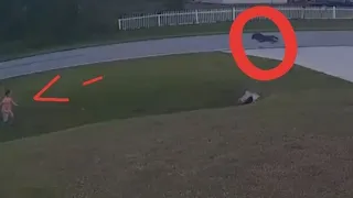 Собака спасла ребёнка от другой собаки😱