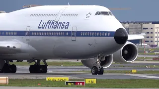 Planespotting Frankfurt Airport Lufthansa B747-8 Retro Livery | ANA Start Wars Livery | LATAM B777