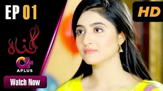 Gunnah - EP 1 | Aplus| Sara Elahi, Shamoon Abbasi, Asad Malik | Pakistani Drama | C3M1