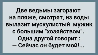 Две Ведьмы и Мужик с Большим 'Хозяйством' на Пляже! Сборник Свежих Анекдотов! Юмор!