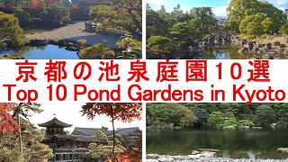 【100倍楽しむ京都観光】京都の池泉式庭園10選 / Top 10 Pond Style Gardens in Kyoto