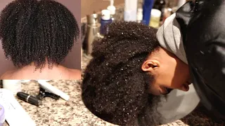 What LOW POROSITY Natural Hair Actually LOOKS Like!