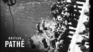 Sharks In Durban Harbour (1939)