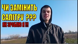 Нема грошей на салітру ! Буду підживлювати пшеницю карбомідом по листу.Весняне  підживлення озимини?