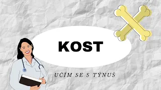 KOST - Vše co potřebujete vědět