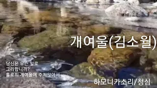 개여울/Cm D#/하모니카소리/청심