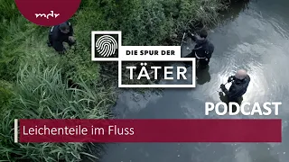 Leichenteile im Fluss – der Stückelmord an Jonathan H. | Podcast Die Spur der Täter | MDR