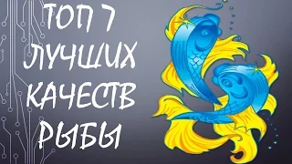 ТОП 7 лучших качеств Рыб: какие они и почему нам без них никак нельзя