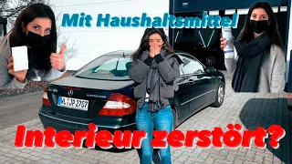 CLK Profi-Aufbereitung VS. Haushaltsmittel | Der Benz glänzt