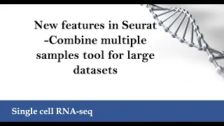 scRNA-seq: Update inc R-PCA and reference based integration for large datasets