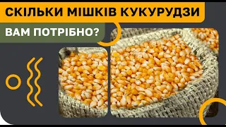 РАХУЄМО НАСІННЯ КУКУРУДЗИ НА ВАШУ ПЛОЩУ🌽🤓 ПРОСТА ФОРМУЛА