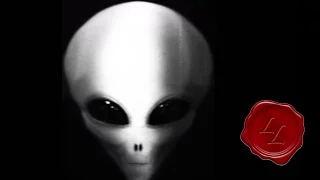 THE UFO VIDEO - Review of the Best ET Evidence