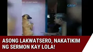 24 Oras: Asong lakwatsero, nakatikim ng sermon kay lola