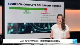 Un genoma humano sin lagunas: se completa por primera vez la secuencia del ADN