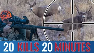 20 KILLSHOTS in 20 Minutes! (BEST Hunting Compilation)