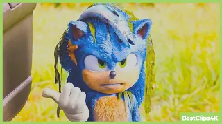 Fluffy Sonic Scene - SONIC THE HEDGEHOG (NEW 2020) Movie