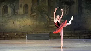 Don Quixote Kitri variation Anastasiia Shevchenko