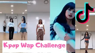 Kpop Idol Dance [WAP Challenge] Tik Tok complication : Hyolyn, CLC, Alexa, Oneus, Lisa, BTS, Jennie.