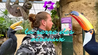 DES OISEAUX PARTOUT ! // ZOO DE BEAUVAL