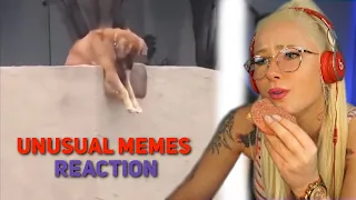 Luna REAGIERT auf UNUSUAL MEMES COMPILATION V74 | Twitch Highlights