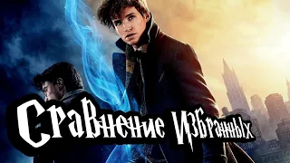 Сравнение Избранных. Гарри Поттер и Ньют Саламандер. HARRY POTTER.