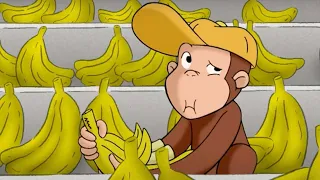 Curioso Come George 🐵 George ottiene un lavoro 🐵Cartoni per Bambini