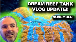 Dream Reef Tank VLOG - November Update