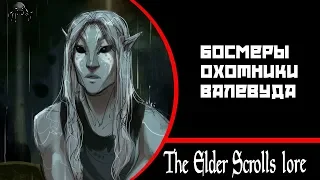 Босмеры, дети дикой Охоты I The ellder scrolls lore