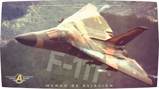 General Dynamics F-111 Aardvark