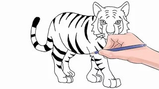 How to Draw a Tiger Easy Step by Step