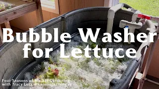 Lettuce Bubble Washer | Four Seasons of Market Gardening Ep.25