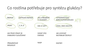 Fotosyntéza III - Co potřebuje rostlina pro fotosyntézu?