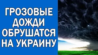 ПОГОДА НА 26 ИЮНЯ : ПОГОДА НА ЗАВТРА