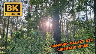 Samsung Galaxy S22 Camera Test - 8K 24FPS Cinematic Video