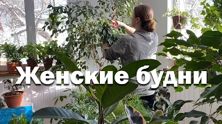 Обустраиваю деревенский дом // зимний сад // Перевели дочку на семейное