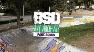 BSD BMX 'Any Which Way' Park Bonus