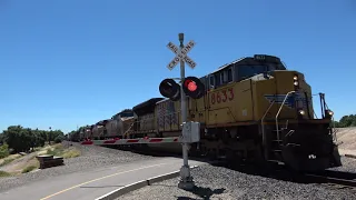 UP 8633 Manifest Train North, Sacramento Northern Bike Trail Pedestrian Crossing, Sacramento CA