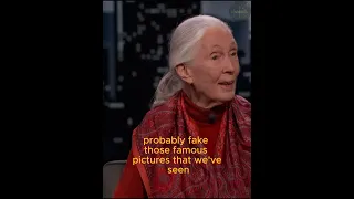 "The Ethical Journey of Dr. Jane Goodall | Advocacy for Chimps and Conservation"