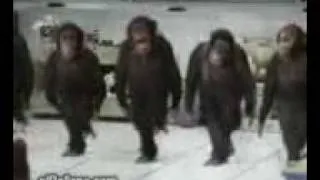 dansende griekse aap