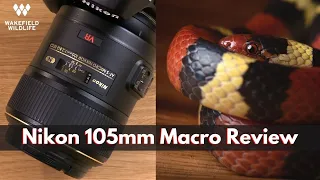 LENS REVIEW: Nikon AF-S VR Micro-NIKKOR 105mm f/2.8G IF-ED Lens