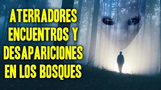 Terroríficos encuentros y desapariciones en los bosques