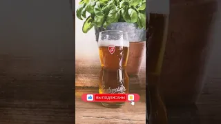 Пиво Будвайзер светлое (Budweiser Budvar)  | Чехия знает толк в пиве