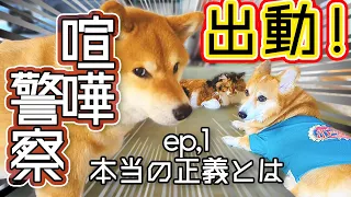 【犬猫アテレコ】正義の喧嘩警察